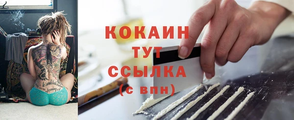 прущие грибы Козельск