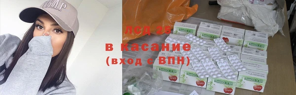 прущие грибы Козельск