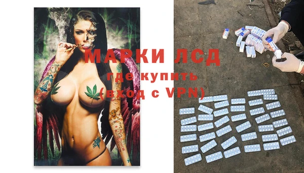 прущие грибы Козельск