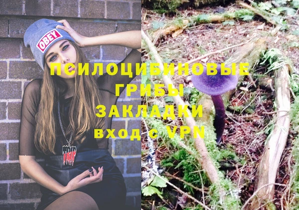 прущие грибы Козельск