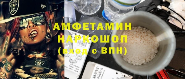 прущие грибы Козельск