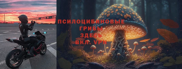 2c-b Козловка
