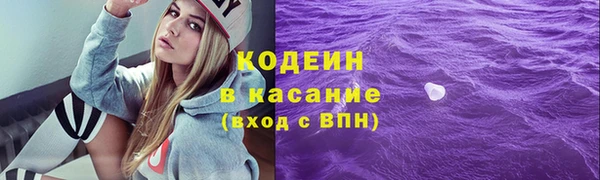 прущие грибы Козельск