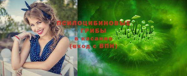 2c-b Козловка