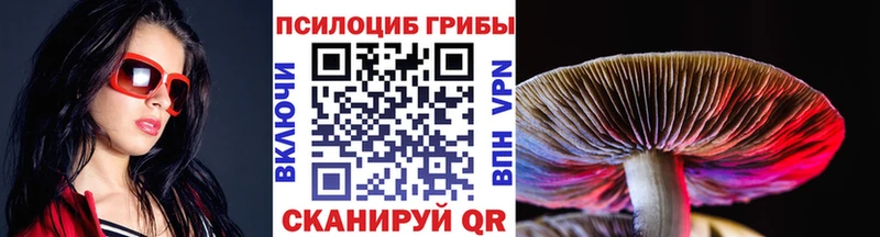 Галлюциногенные грибы мицелий  Купить где  Балтийск 